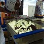 How to make Cream and Brunella artisan gelato?